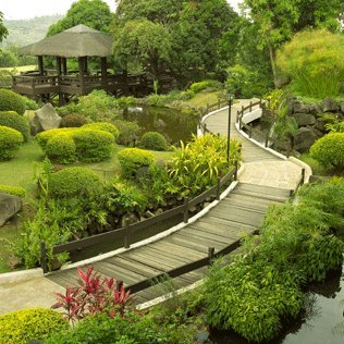 Lush Green Landscaping